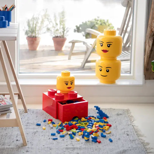 Two large LEGO heads and a red brick with scattered LEGO pieces on a rug in a room with a window and plants.