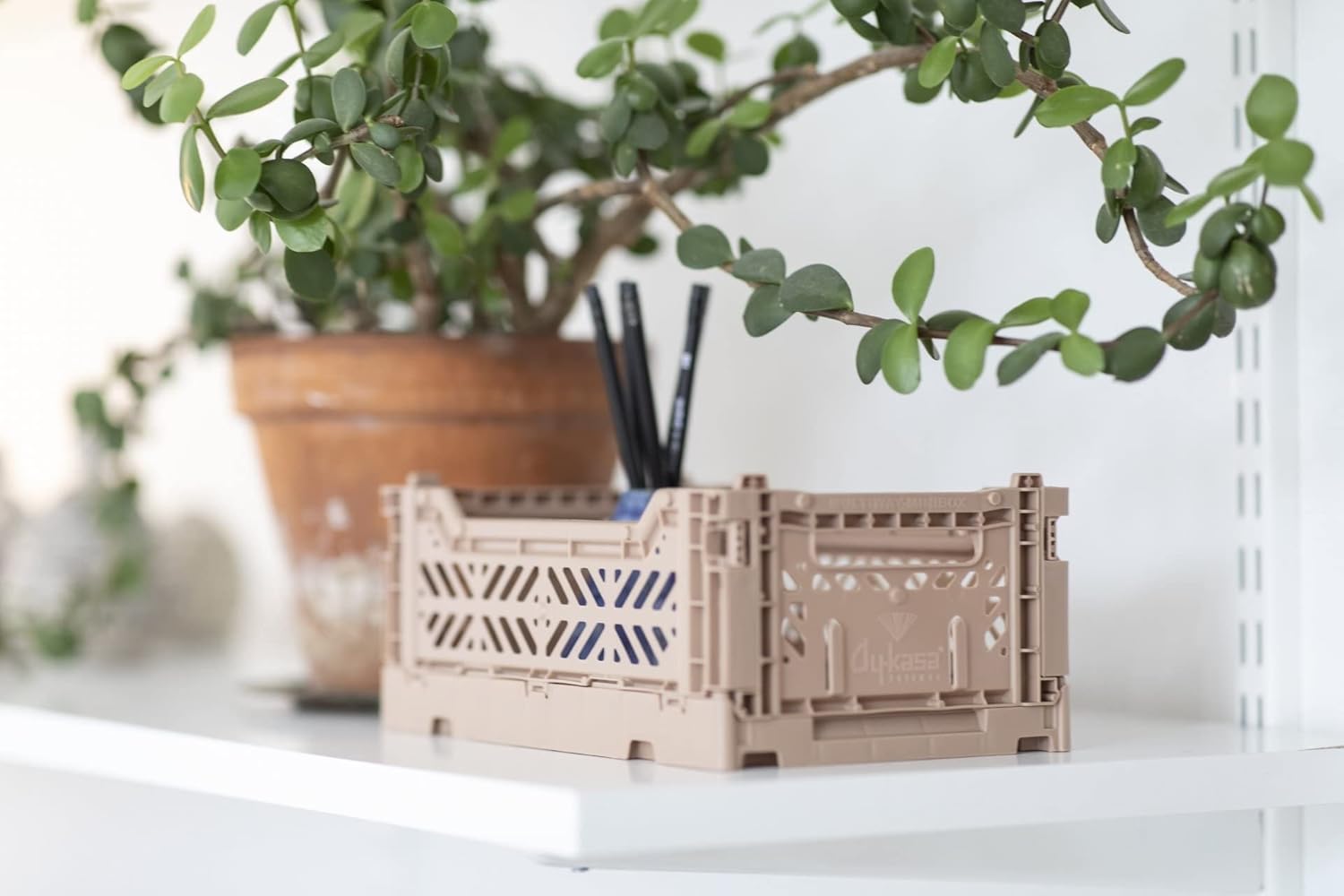 Mini Folding Crate - Aykasa