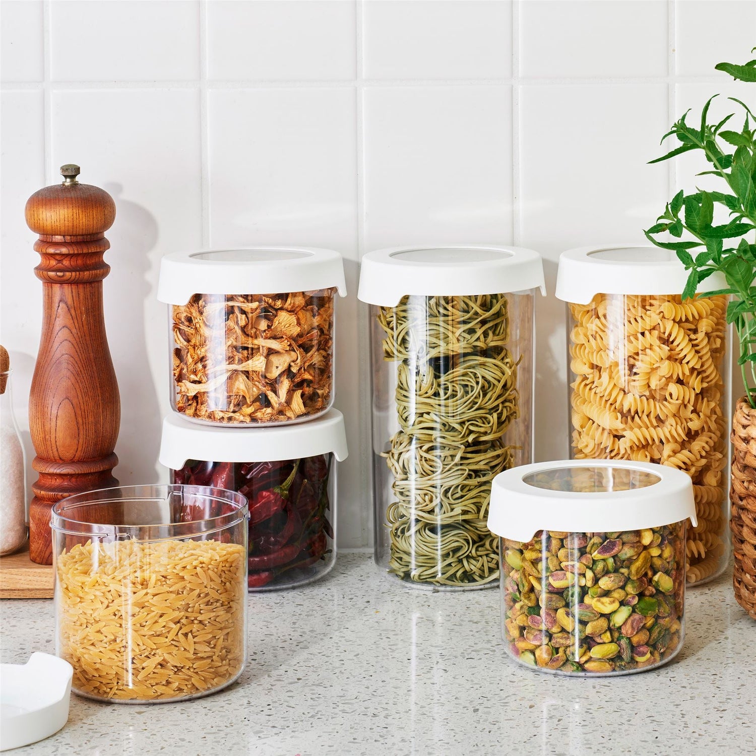 Dried Food Storage Container - 0.75L - Not A Boring Box APFE