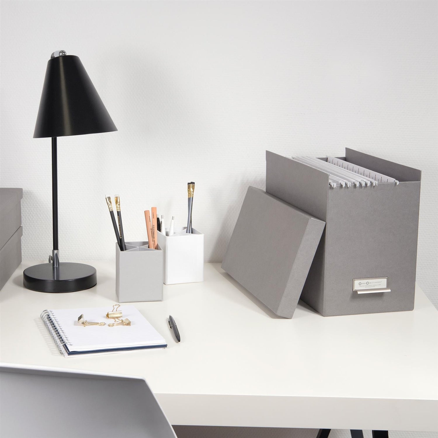 Suspension File Storage Box