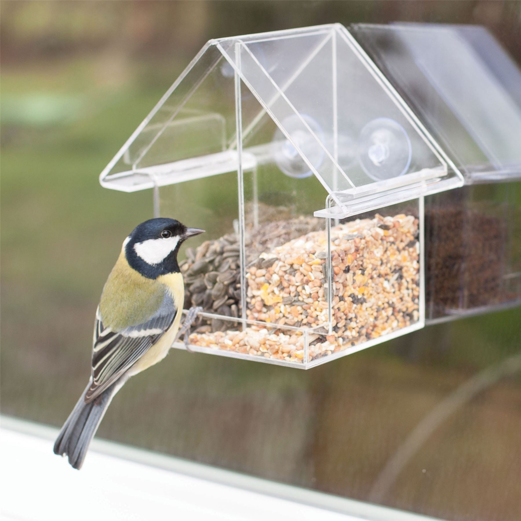 Window Mount Bird Feeder – NotABoringBox.co.uk