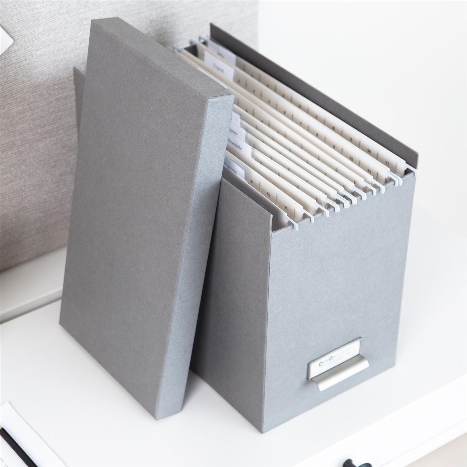 Suspension File Storage Box