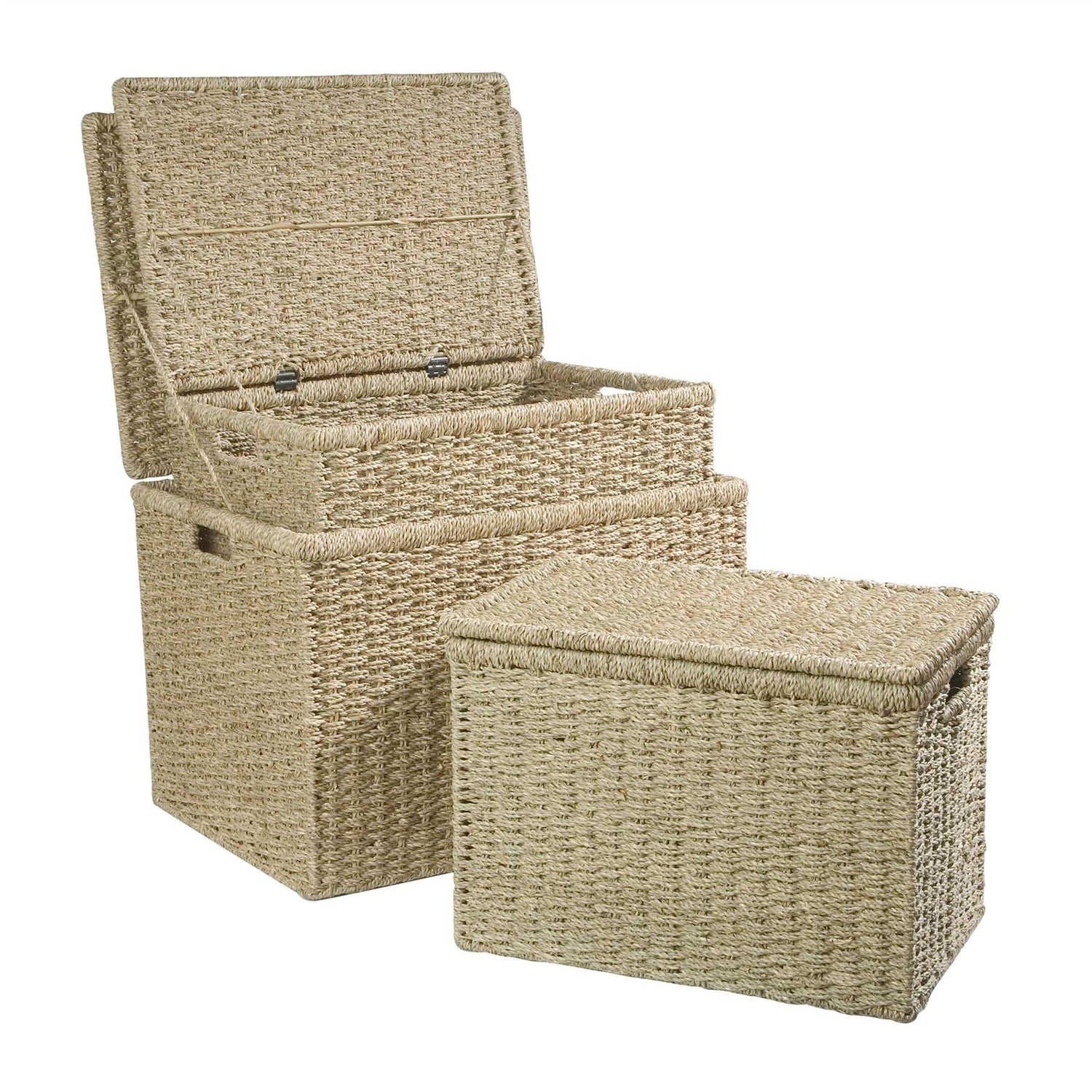 Large Seagrass Box with Lid - Not A Boring Box APFE