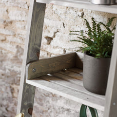 Wooden ladder with a plant on a stone wall background