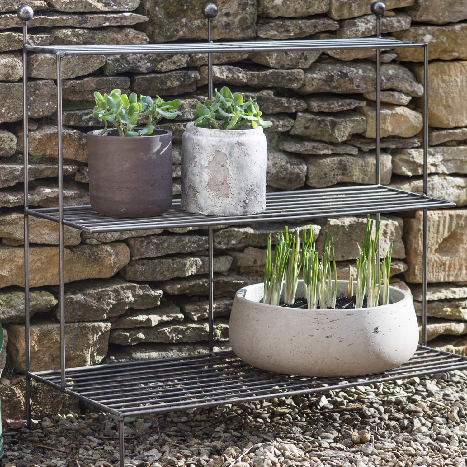 Metal shelving unit with potted plants against a stone wall.