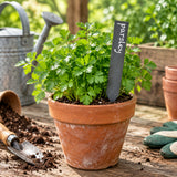 6 x Slate Plant Markers