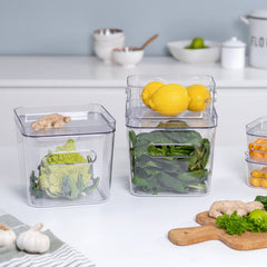 Clear plastic containers with food on a kitchen counter