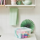 Smartstore 8L Plastic Box