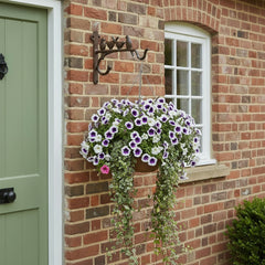 Cast Iron Hanging Basket Hook