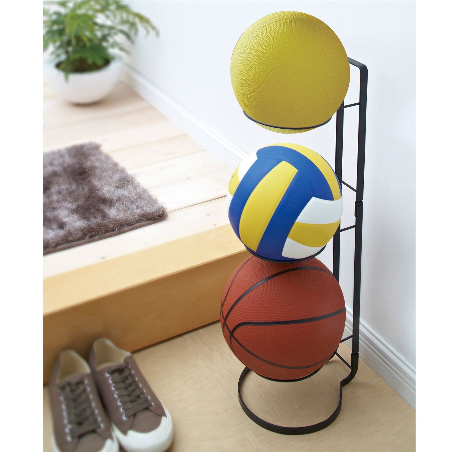 Sports Ball Storage Stand - Not A Boring Box APFE