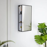 Wall-mounted mirror with shelves on a white wall, with plants in the foreground.
