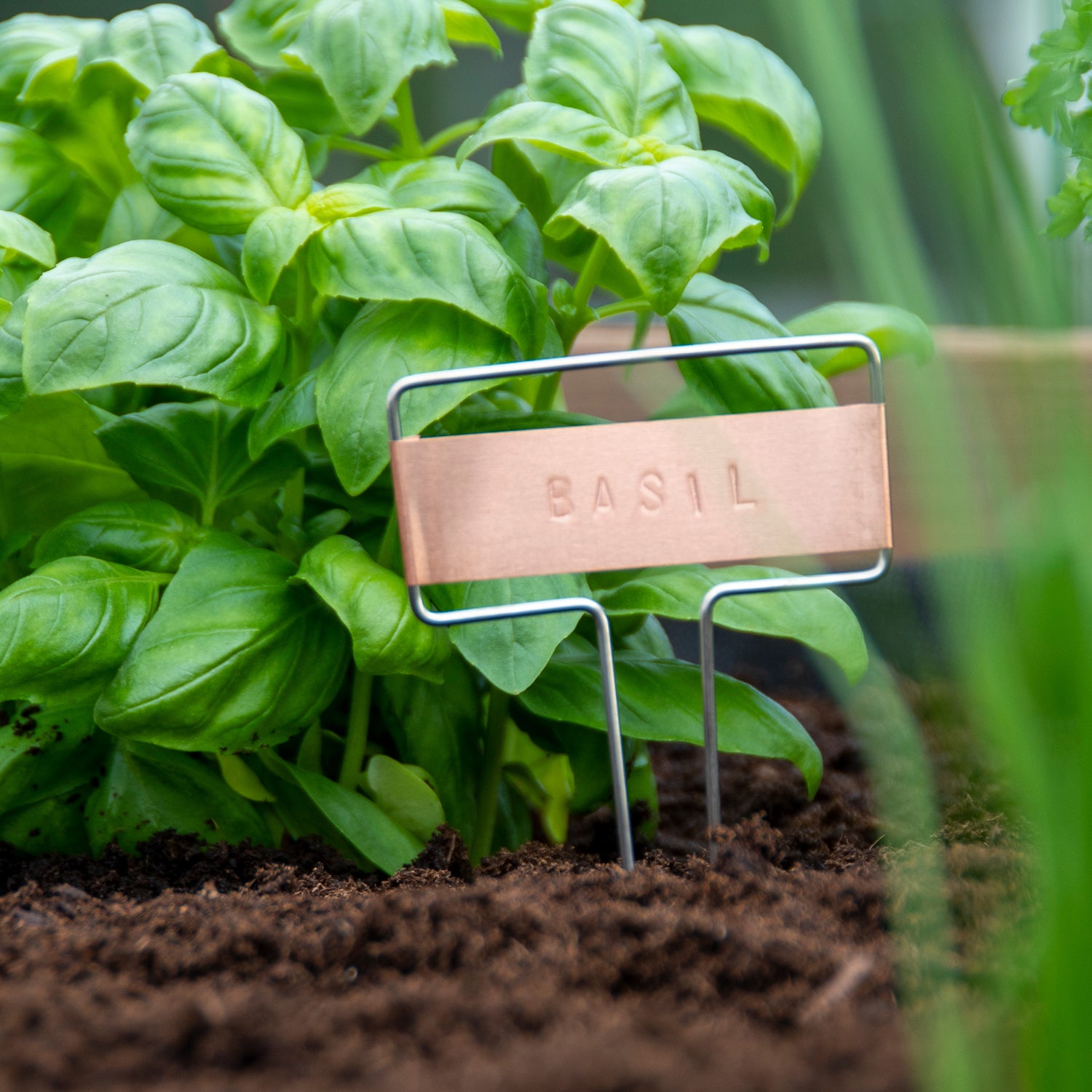copper plant tags and stamper set