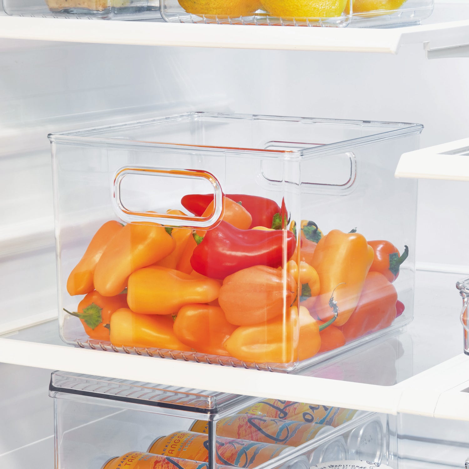 fridge binz storage cube large