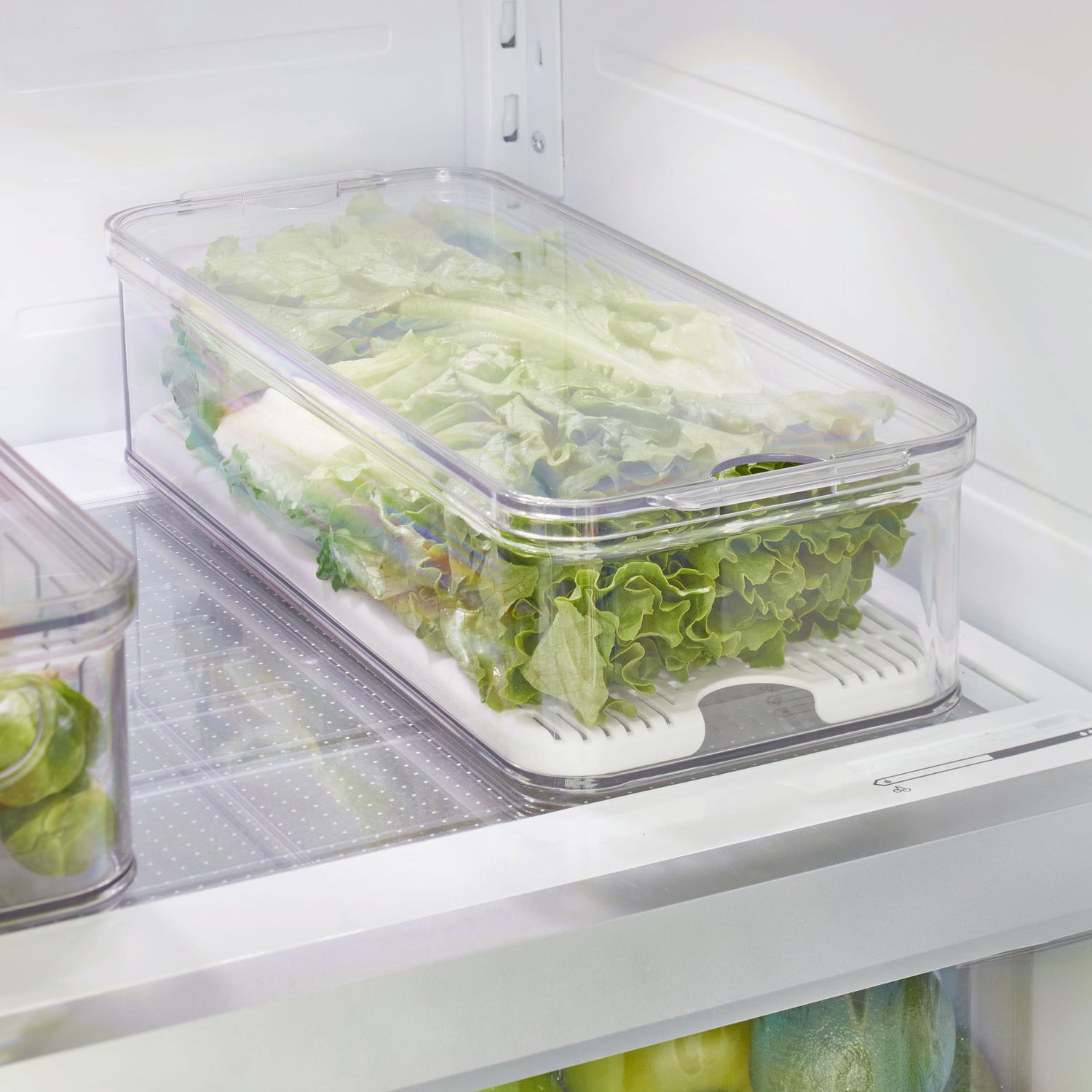 lidded fridge and pantry storage container crisp