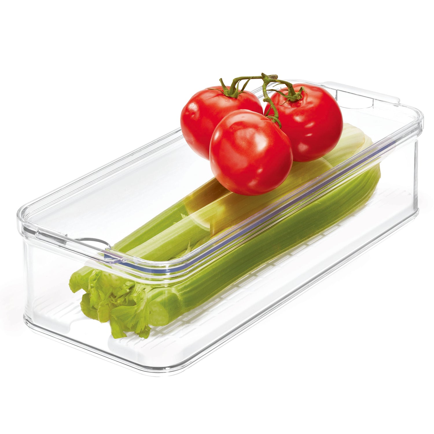 lidded fridge and pantry storage container crisp