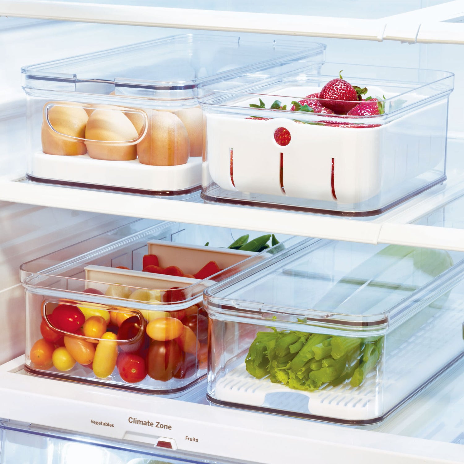 Fruit and Vegetable Storage Container- Crisp
