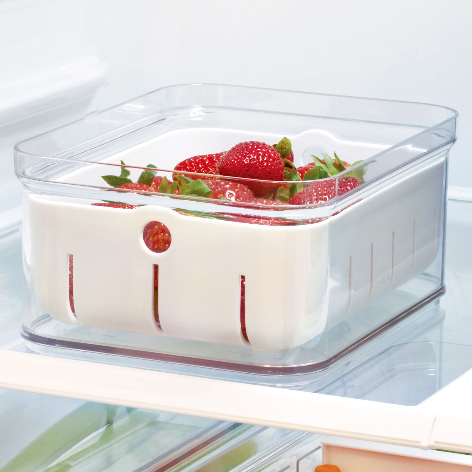 Fruit and Vegetable Storage Container- Crisp