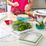 small lidded produce storage container fresh