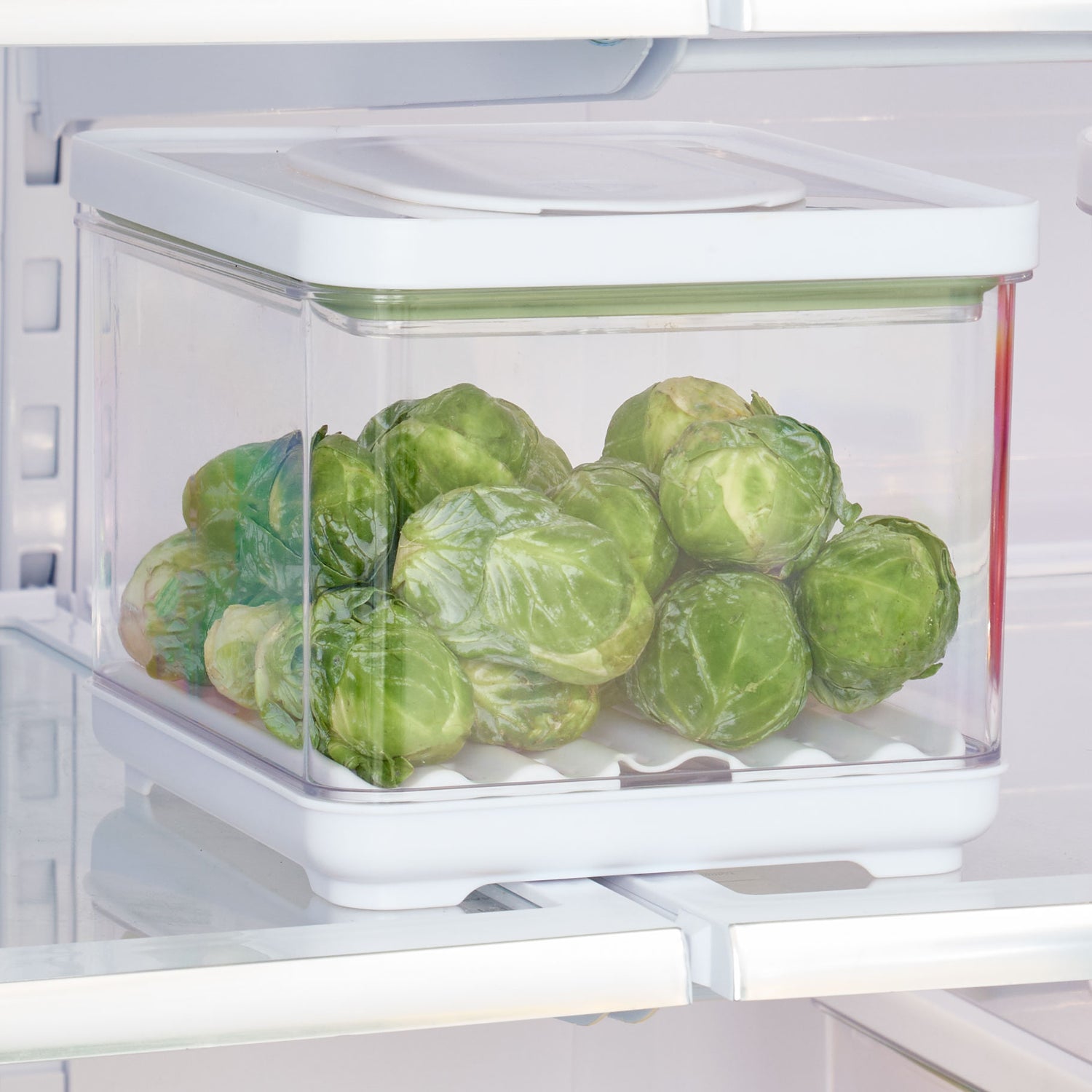 small lidded produce storage container fresh