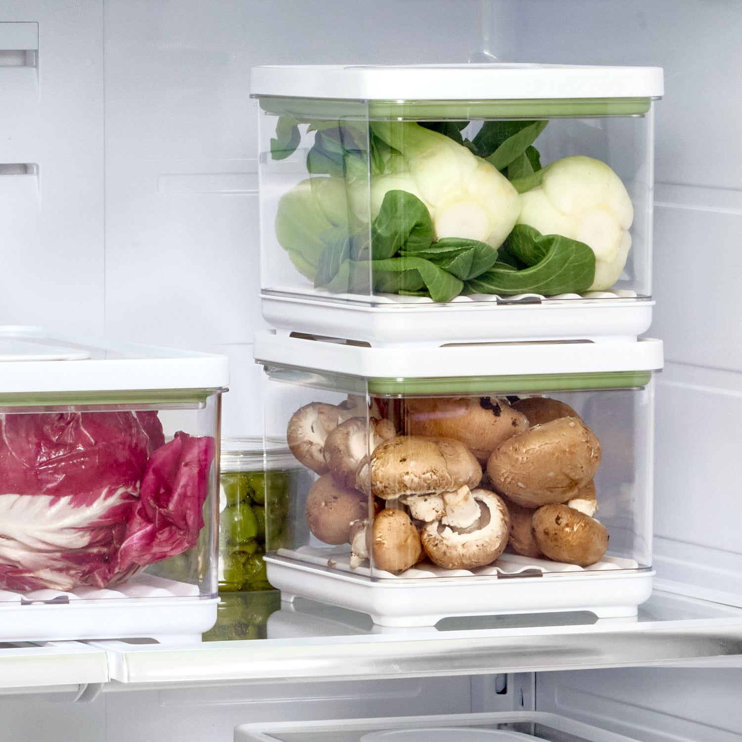 small lidded produce storage container fresh