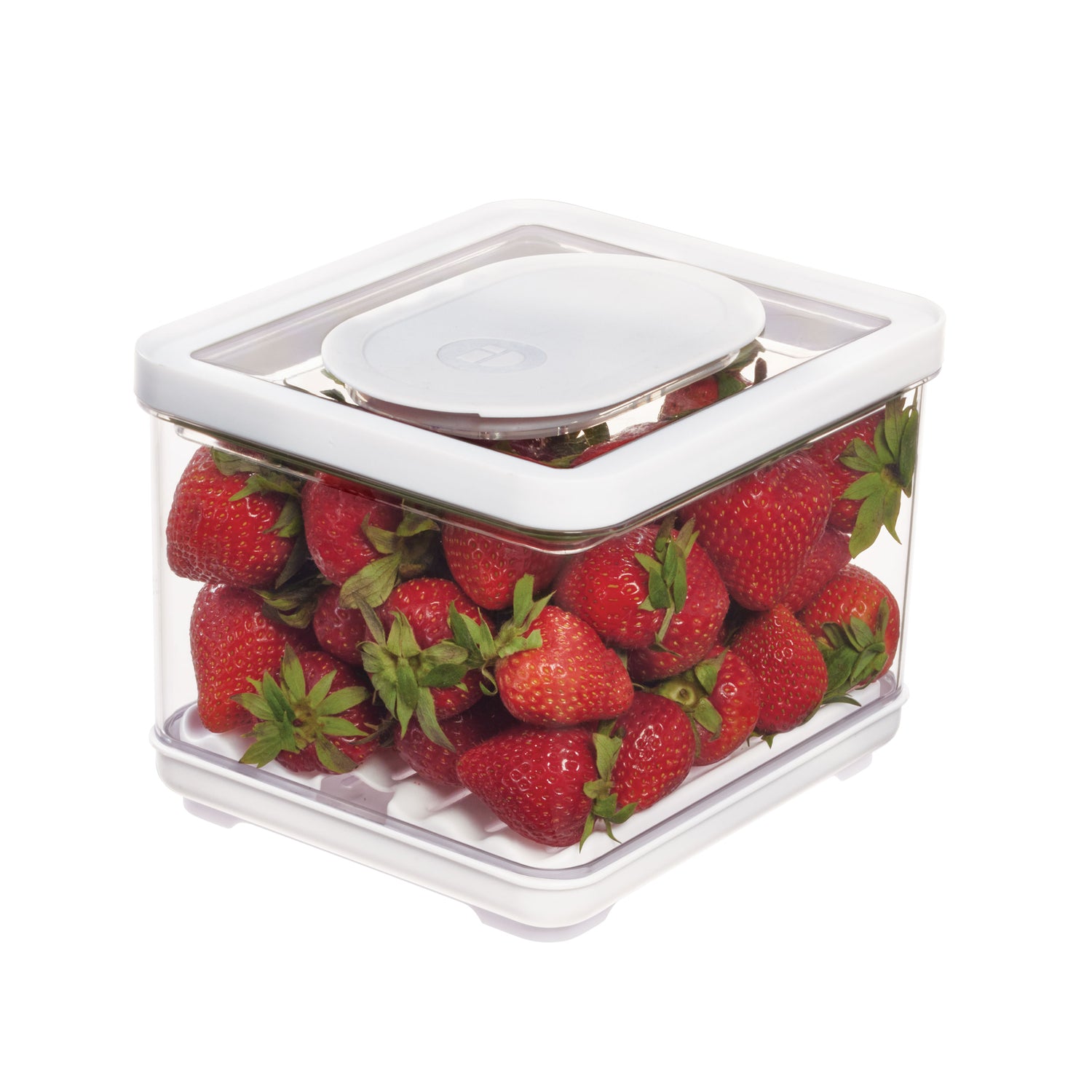 small lidded produce storage container fresh