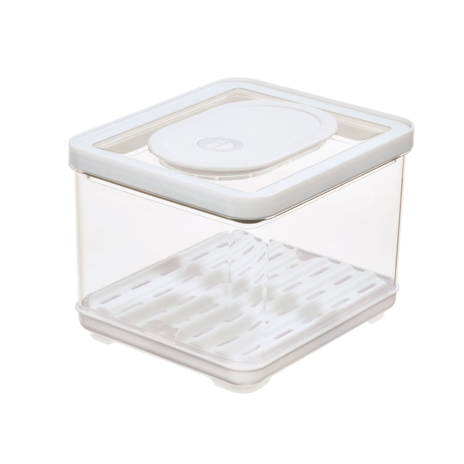 small lidded produce storage container fresh