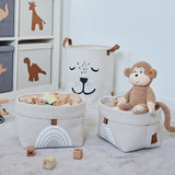 Rainbow Storage Basket Set Of 2