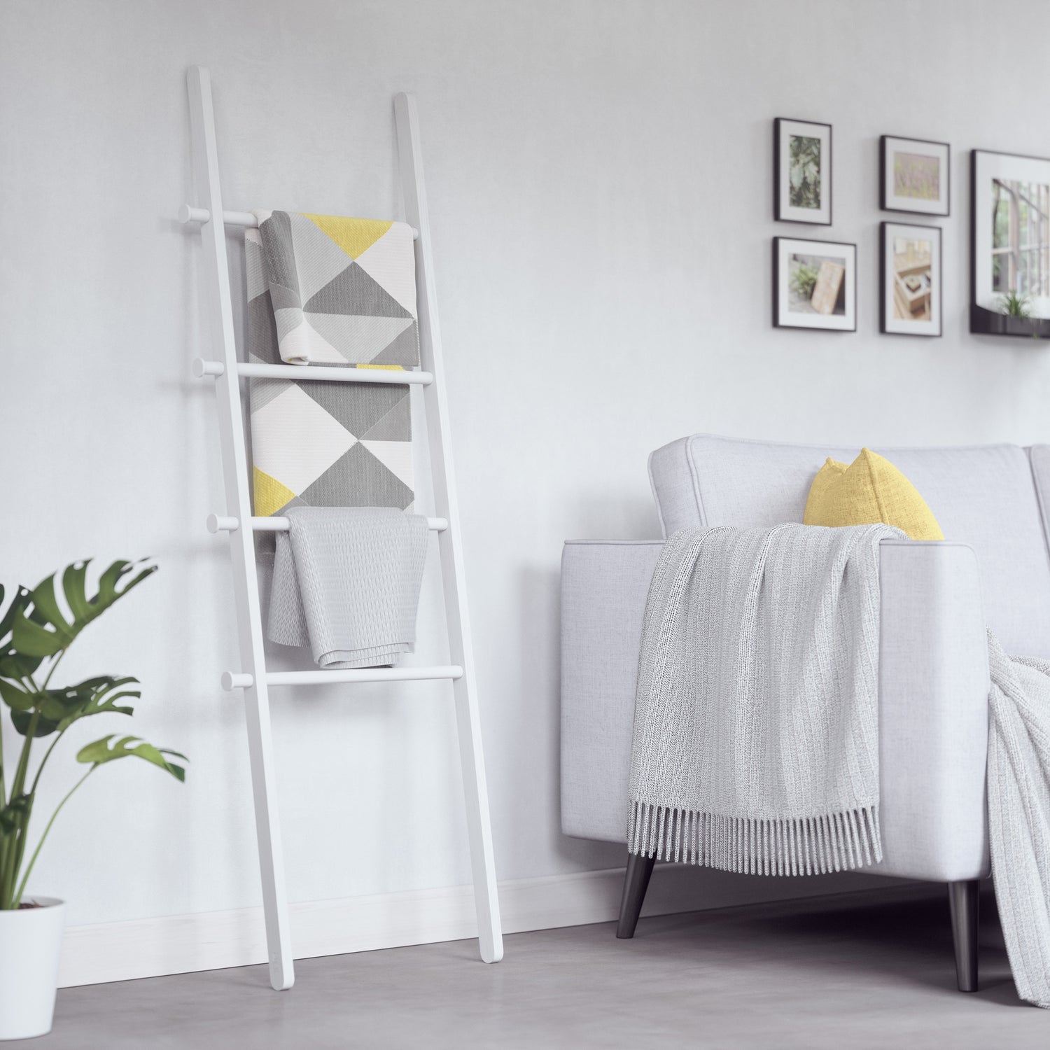 Storage Ladder- Leana