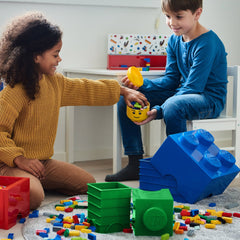Giant LEGO Brick Storage Box - Extra Small - Not A Boring Box APFE
