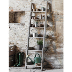 Aldsworth Shelf Ladder