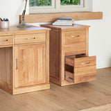 Two Drawer Filing Cabinet Mobel