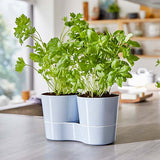 hydro herb twin pots
