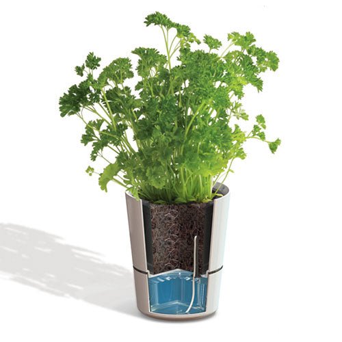Hydro Herb Twin Pots - Not A Boring Box APFE