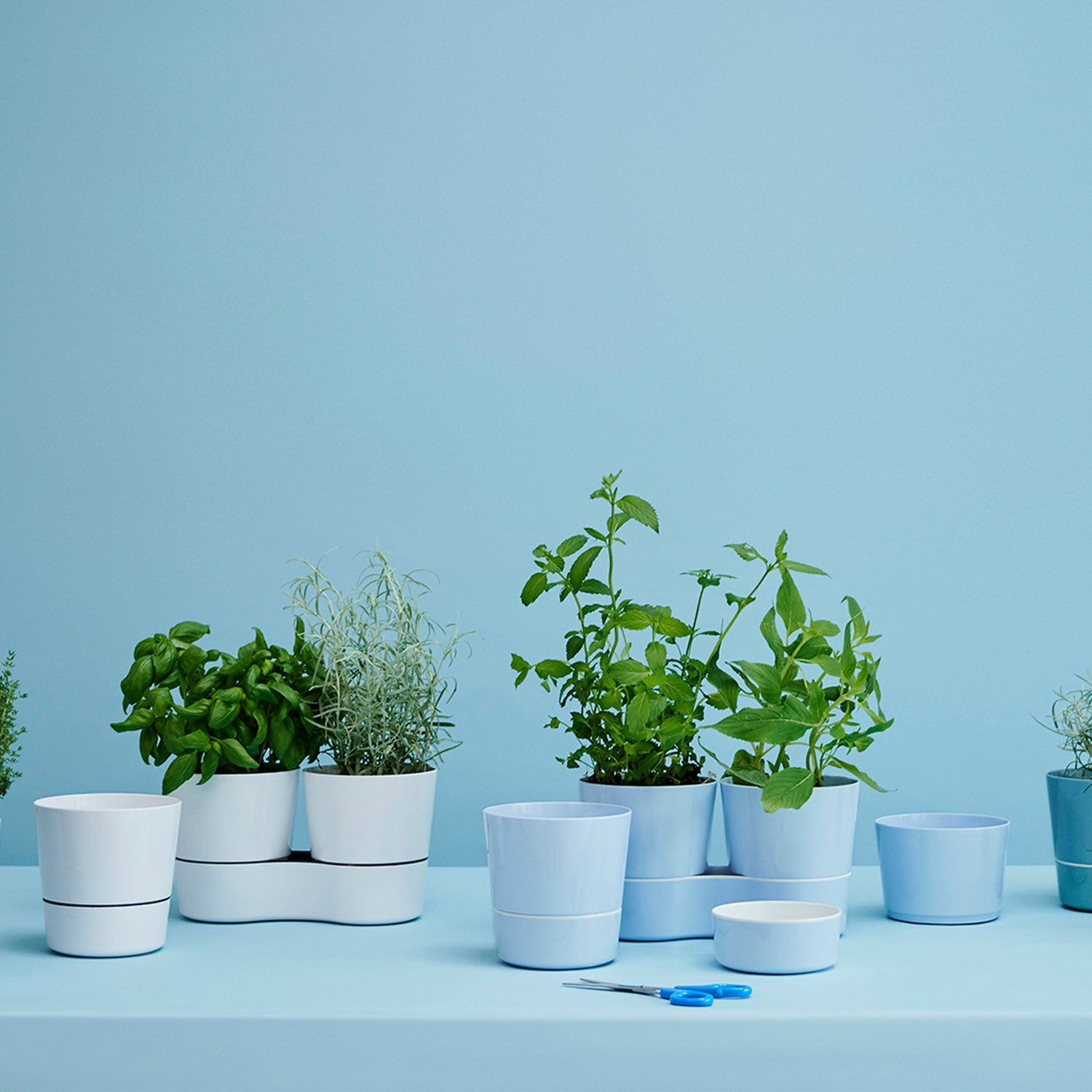 hydro herb twin pots