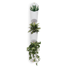 Floralink Organisers - Not A Boring Box APFE