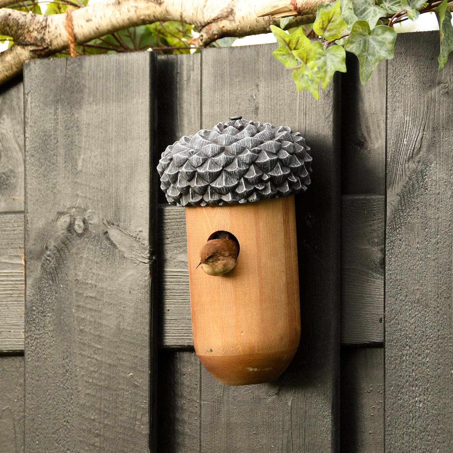 acorn bird house wren