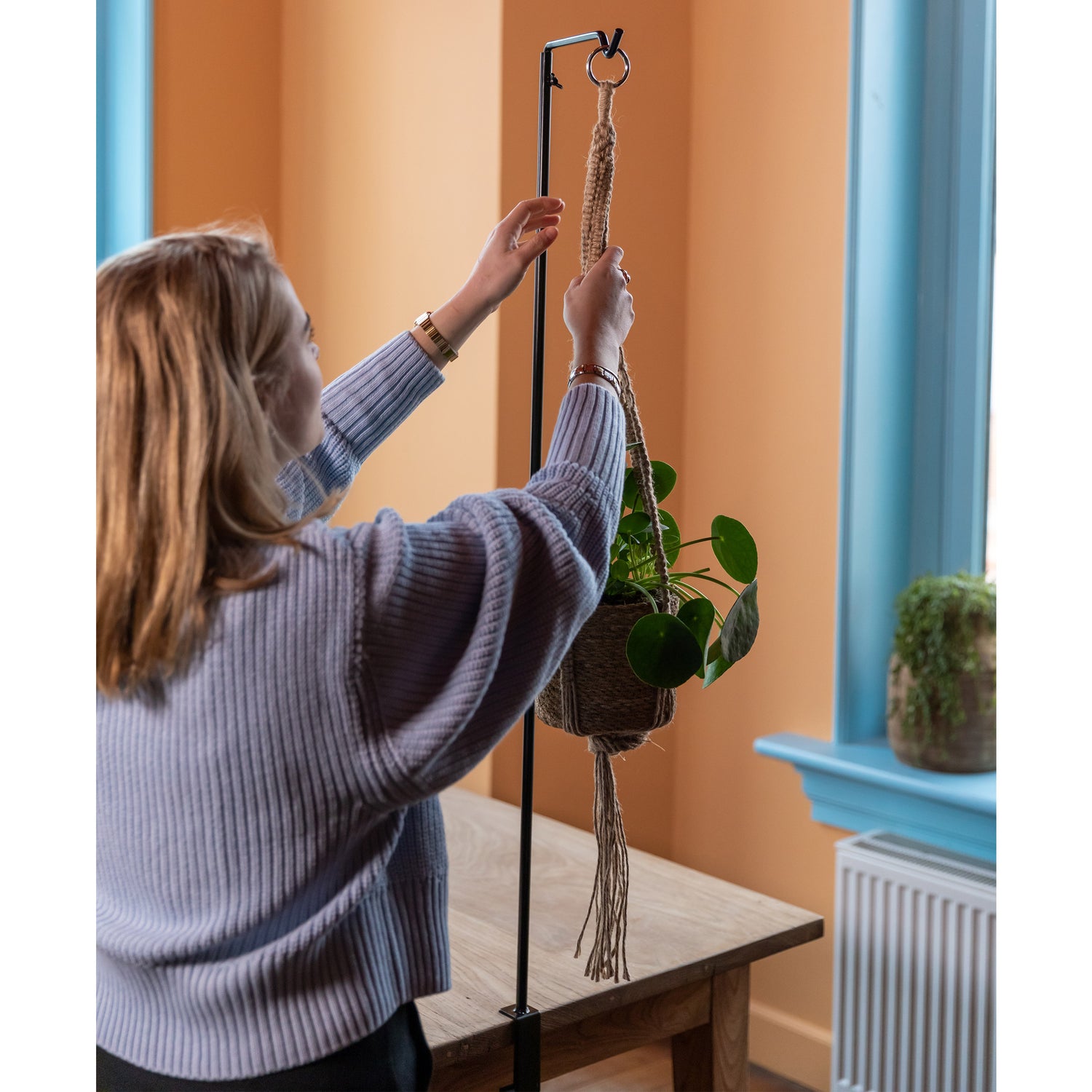 table clamp hook