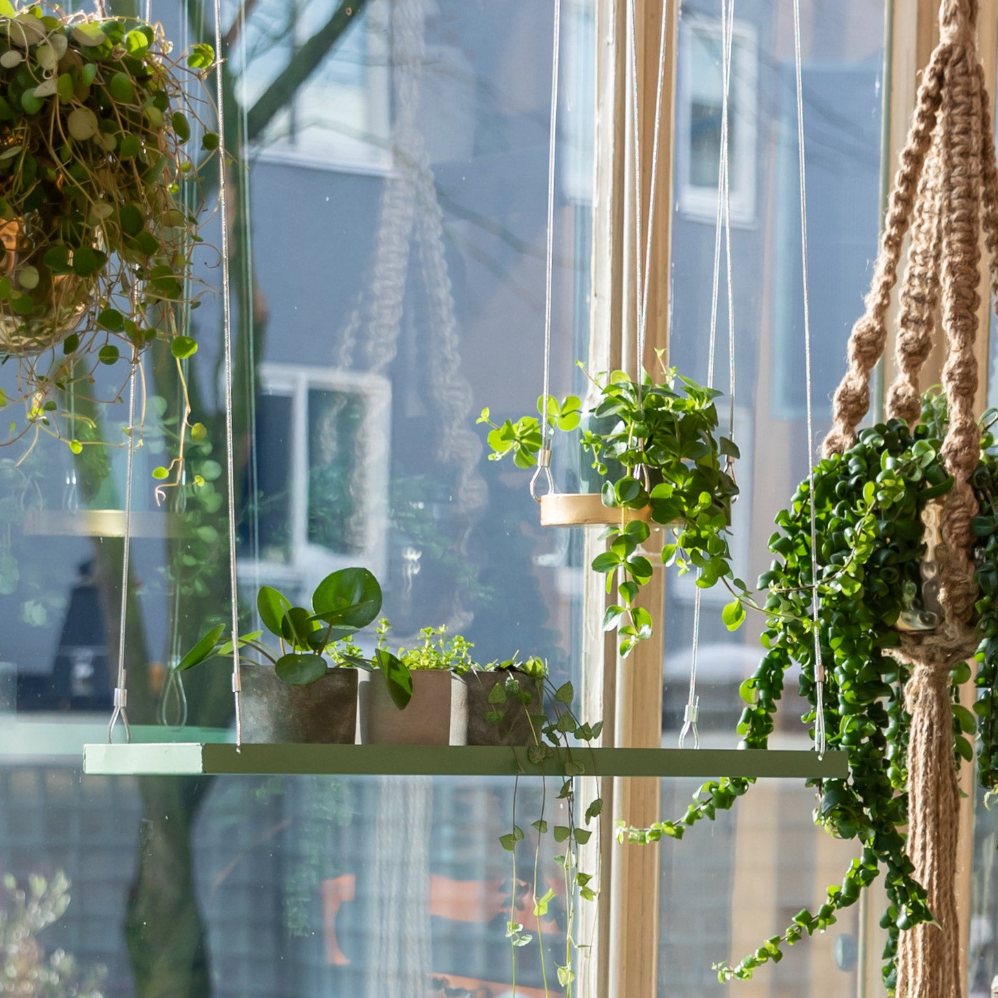 Hanging Plant Tray