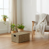 Lidded Seagrass Hamper Large - Not A Boring Box